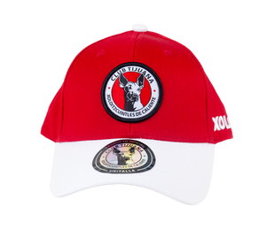 GORRA PUR LOGO VICERA BLANCA NIÑO