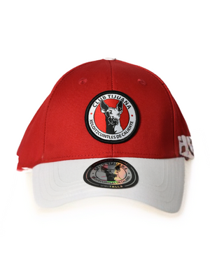 GORRA PUR LOGO VISERAS HOMBRE