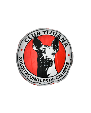 COJIN LOGO FAN