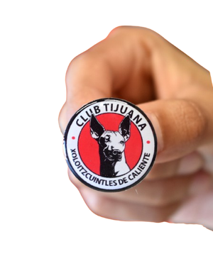 PIN ANT LOGO RESINA
