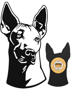 IMAN DESTAPADOR HERMOSO