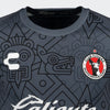 JERSEY CHARLY AP23-CL24 PORTERO OXFORD HOMBRE