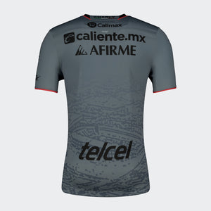 JERSEY CHARLY AP23-CL24 GRIS HOMBRE