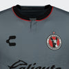 JERSEY CHARLY AP23-CL24 GRIS HOMBRE