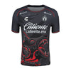 JERSEY CHARLY CL25-AP25 ALTERNO