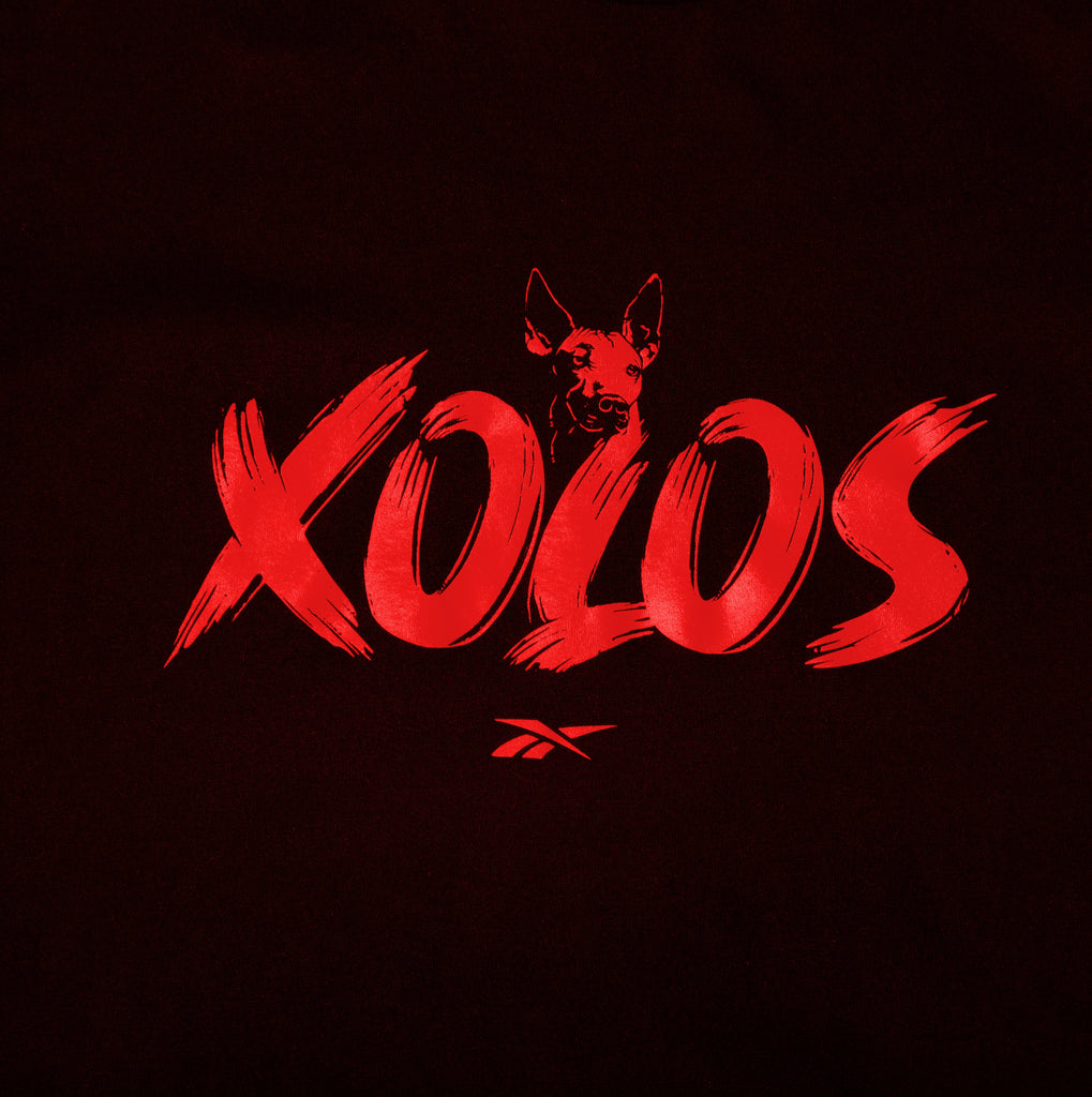 PLAYERA REB CL26-AP26 XOLOS NEGRO HOMBRE XO1028 – Tienda Oficial Xolos ...