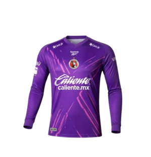 JERSEY REB MATCH CL26-AP26 PORTERO MORADO HOMBRE